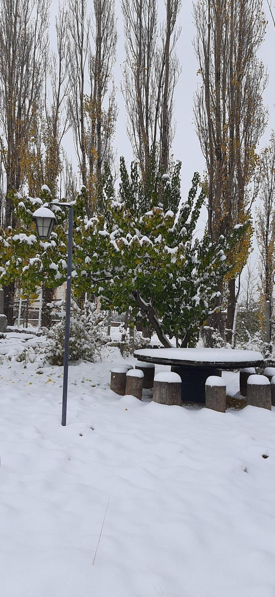 Holiday home Terra Nostra